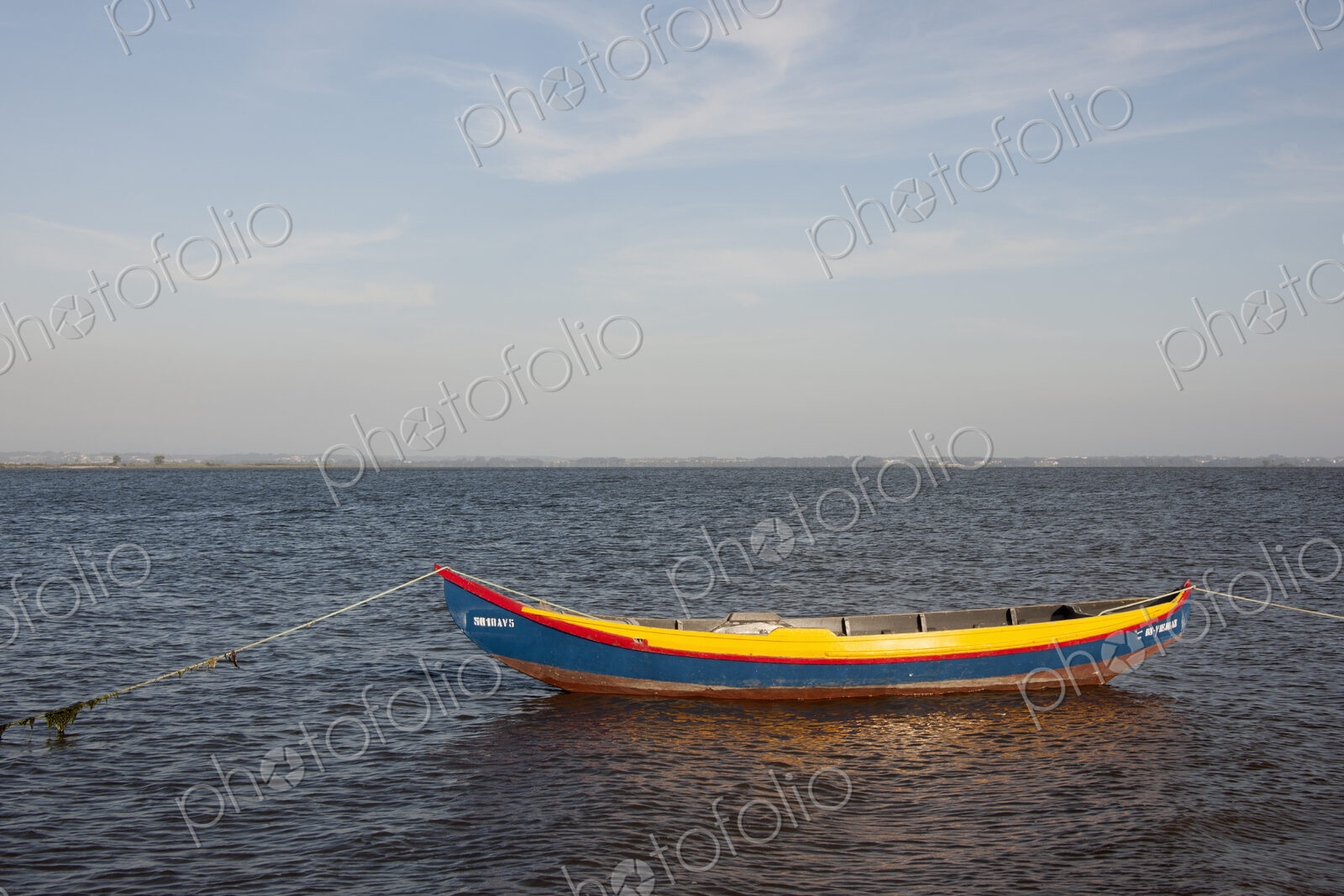 A traditional moliceiros fishing boat with high prow, painted in vivid colours, moored…
