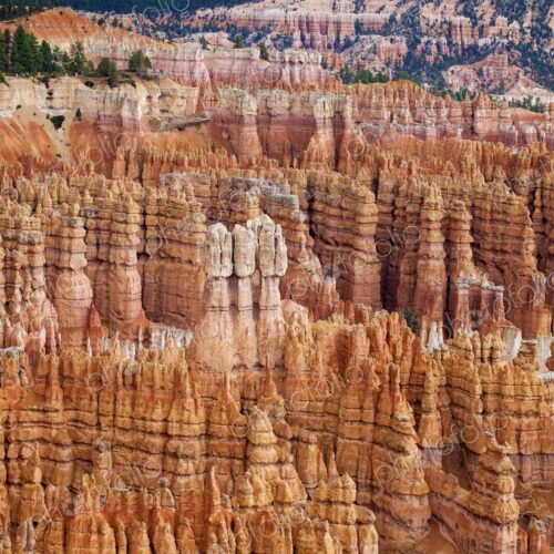 A vibrant maze of hoodoos fills the Bryce Canyon landscape, with rich red and orange…