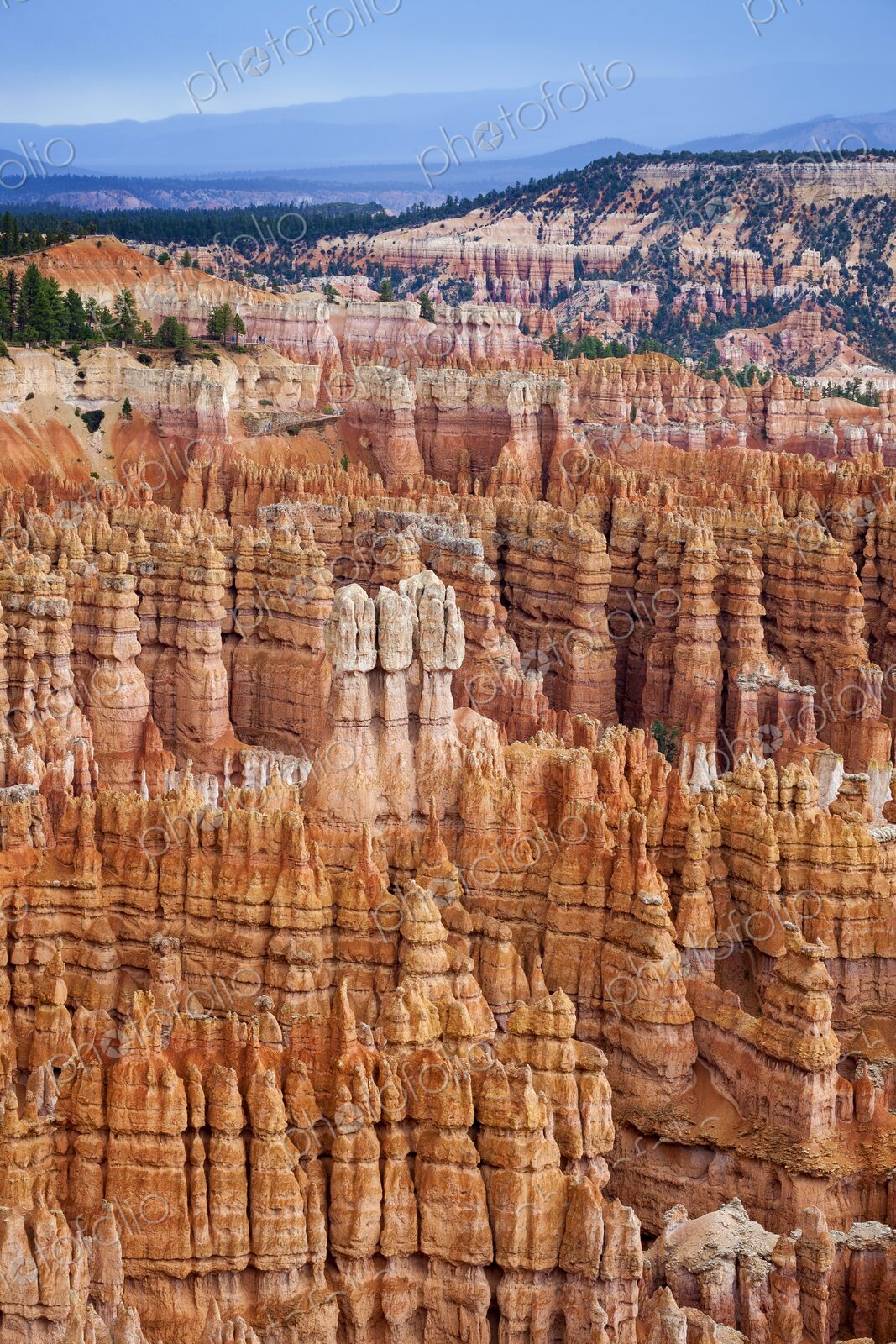 A vibrant maze of hoodoos fills the Bryce Canyon landscape, with rich red and orange…