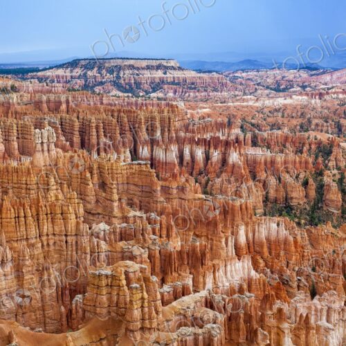 A vibrant maze of hoodoos fills the Bryce Canyon landscape, with rich red and orange…