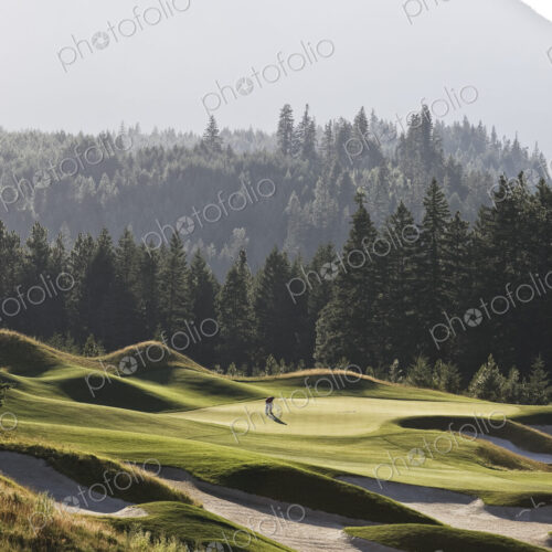A view from a distance of a single golfer on a greeen of a golf course. A view from a distance of a single golfer on a greeen of a golf course.