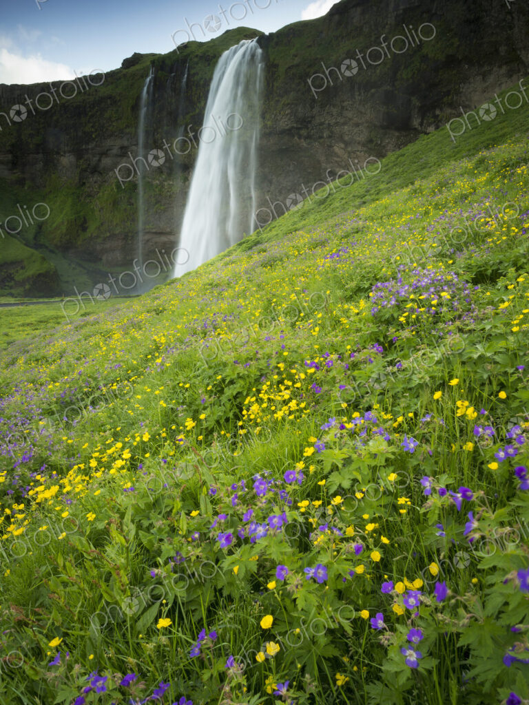 A waterfall cascade over a sheer cliff.