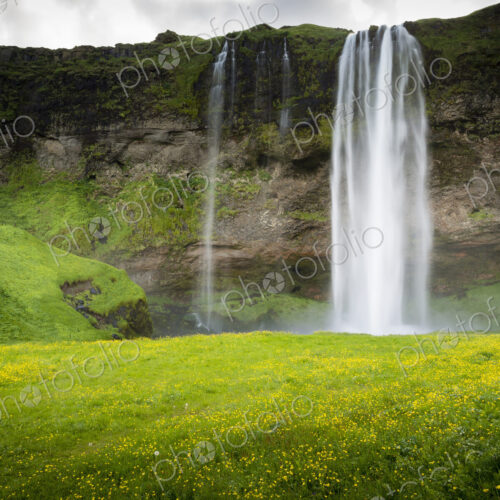 A waterfall cascade over a sheer cliff.