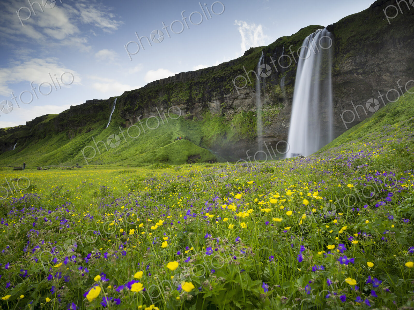 A waterfall cascade over a sheer cliff and wildflower meadodwos.