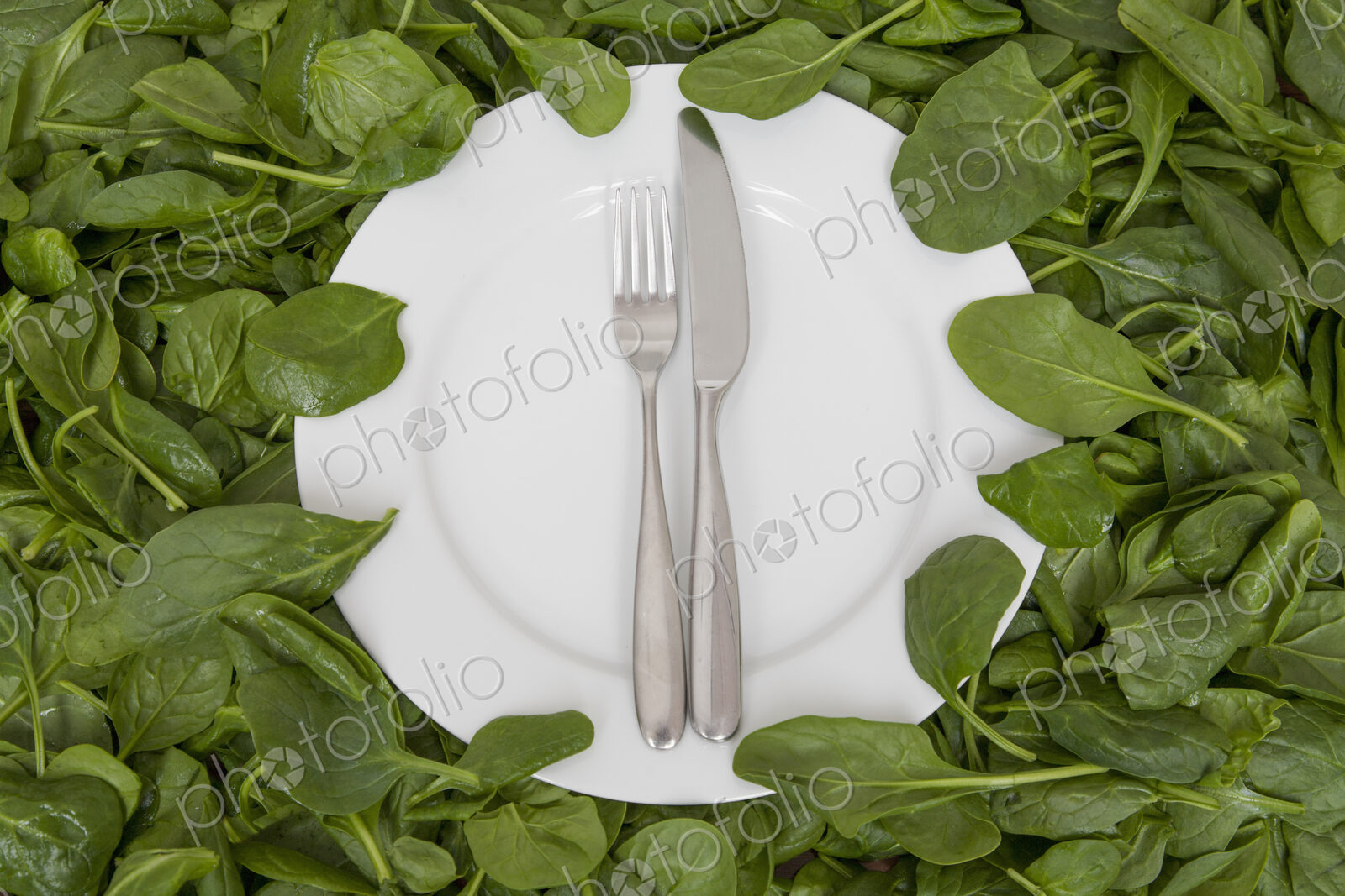 A white china plate with a knife and fork, resting on edible leaves. The concept of…