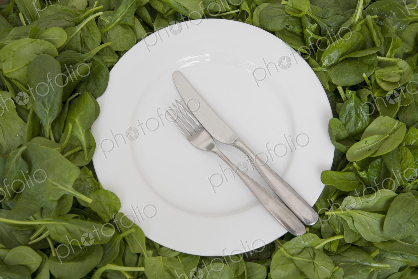 A white china plate with a knife and fork, resting on edible leaves. The concept of…