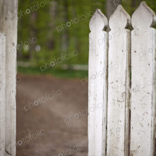 A white picket fence, with an open garden gate. A white picket fence, with an open garden gate.