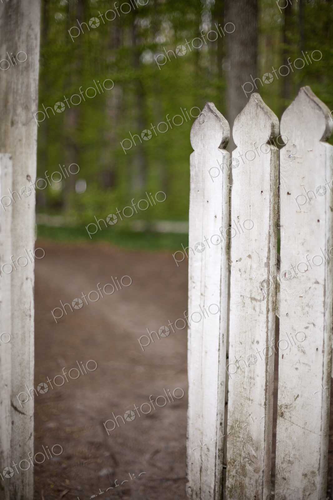 A white picket fence, with an open garden gate.