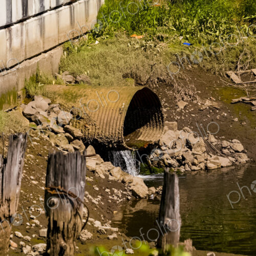 A wide rusty outflow pipe with content flowing into Puget Sound, now a… A wide rusty outflow pipe with content flowing into Puget Sound, now a…
