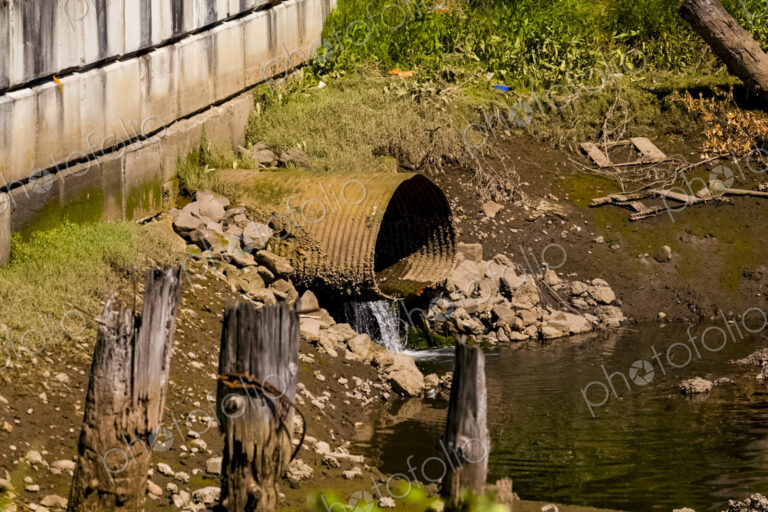 A wide rusty outflow pipe with content flowing into Puget Sound, now a…