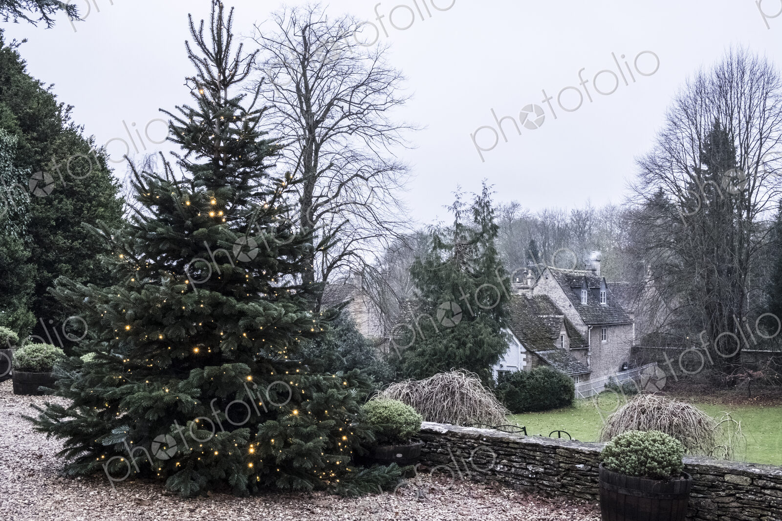 A winter garden, a tall pine tree with lights in the branches, Christmas decorations.…