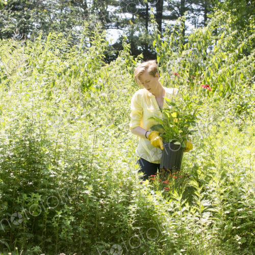 A woman among flowers and tall green and flowering plants