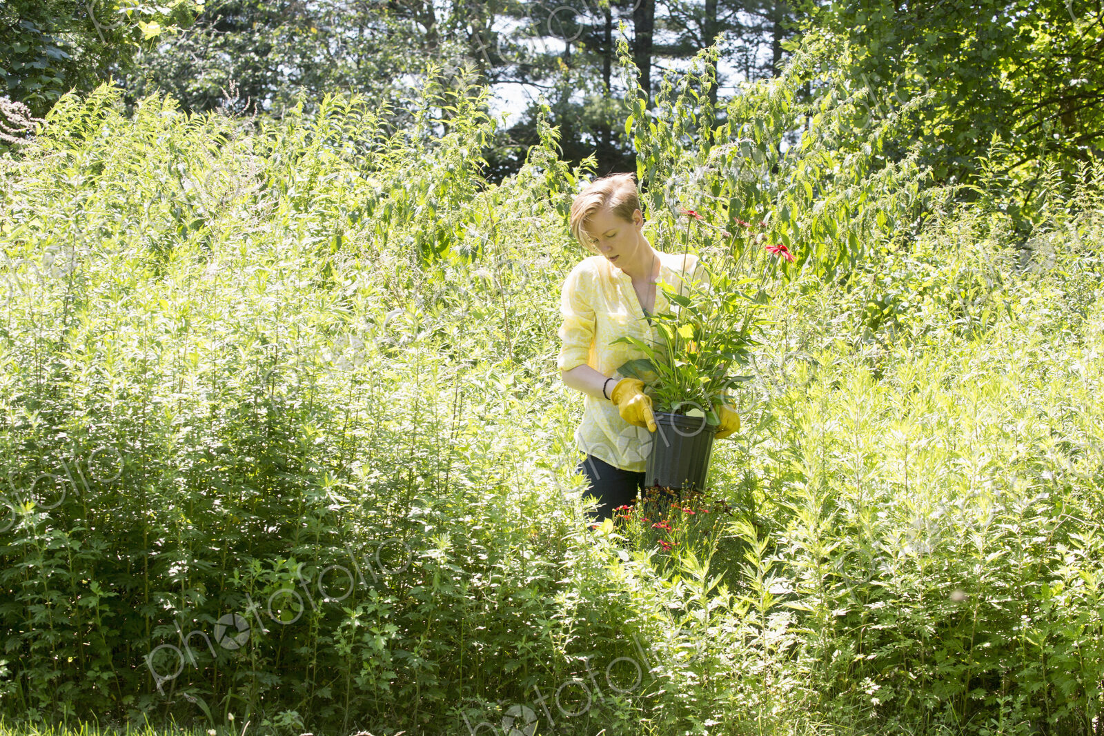 A woman among flowers and tall green and flowering plants