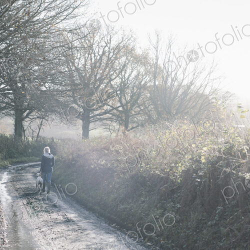 A woman and a dog walking down a country lane. A woman and a dog walking down a country lane.