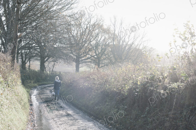 A woman and a dog walking down a country lane.