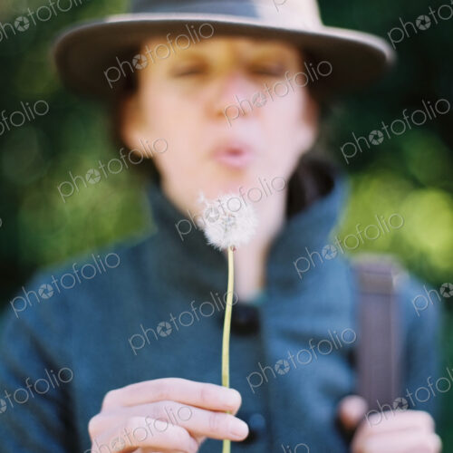A woman blowing a dandelion clock seedhead. A traditional game. A woman blowing a dandelion clock seedhead. A traditional game.