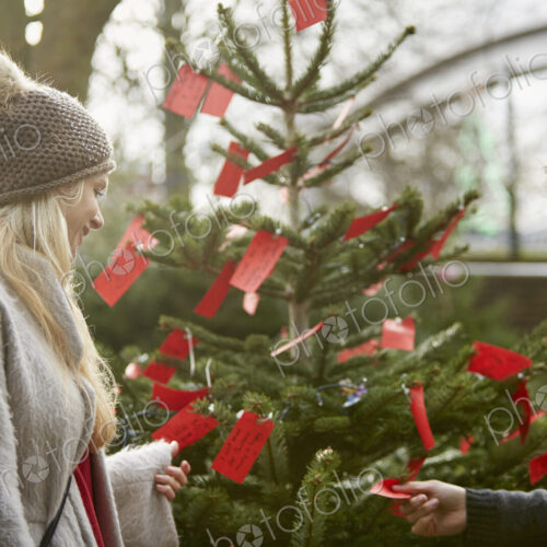 A woman by a Christmas tree reading the red labels on branches.