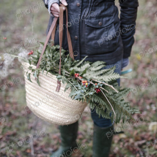A woman carrying a basket of foliage, evergreen sprigs and glossy laurel with berries. A woman carrying a basket of foliage, evergreen sprigs and glossy laurel with berries.