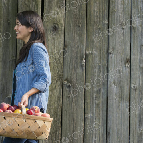 A woman carrying a basket of freshly picked fruit. Plums and peaches.