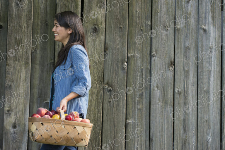 A woman carrying a basket of freshly picked fruit. Plums and peaches.