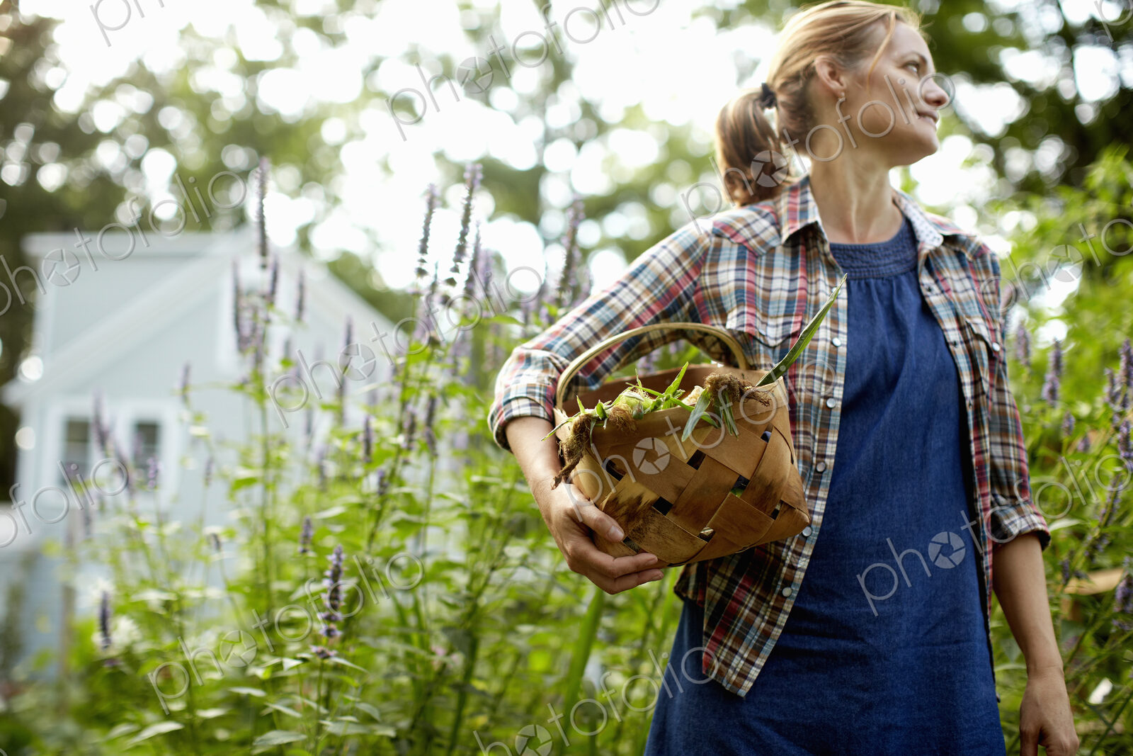 A woman carrying a full basket of fresh picked corn on the cob, and vegetables from…