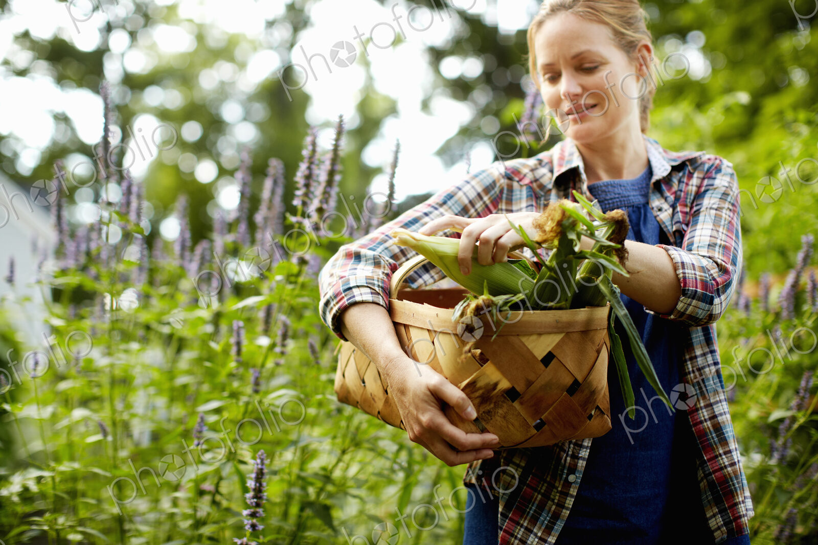 A woman carrying a full basket of fresh picked corn on the cob, and vegetables from…