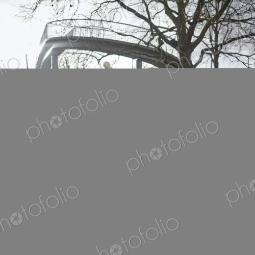 A woman choosing a traditional pine tree, Christmas tree from a large selection at a… A woman choosing a traditional pine tree, Christmas tree from a large selection at a…