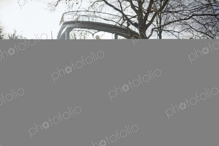 A woman choosing a traditional pine tree, Christmas tree from a large selection at a…