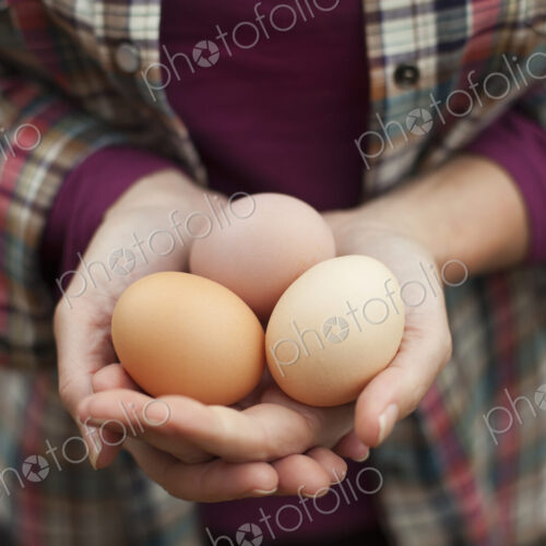 A woman holding a clutch of freshly laid hen's eggs. A woman holding a clutch of freshly laid hen's eggs.