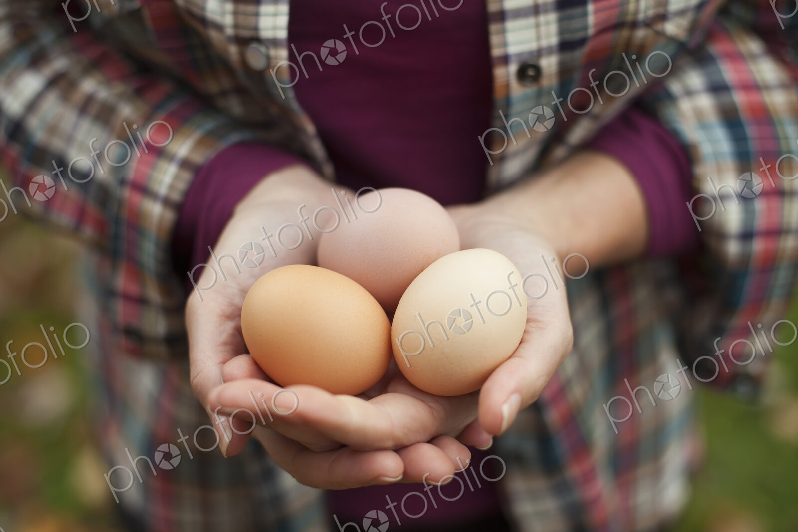 A woman holding a clutch of freshly laid hen’s eggs.