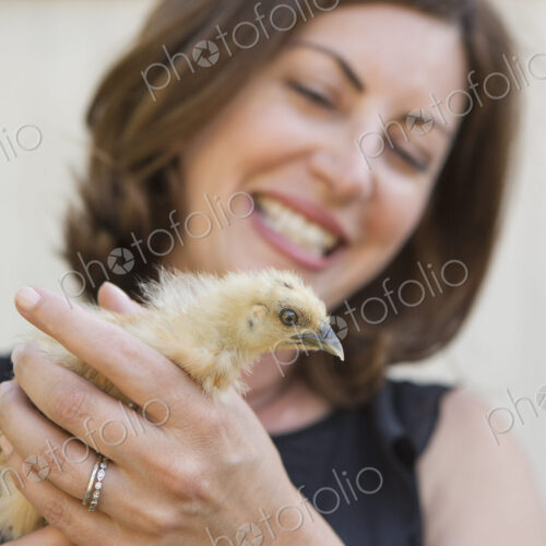 A woman holding a small fluffy chick, a baby bird in her two hands.