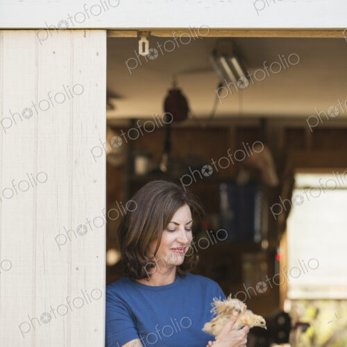 A woman holding a small fluffy chick, a baby bird in her two hands, standing at an…