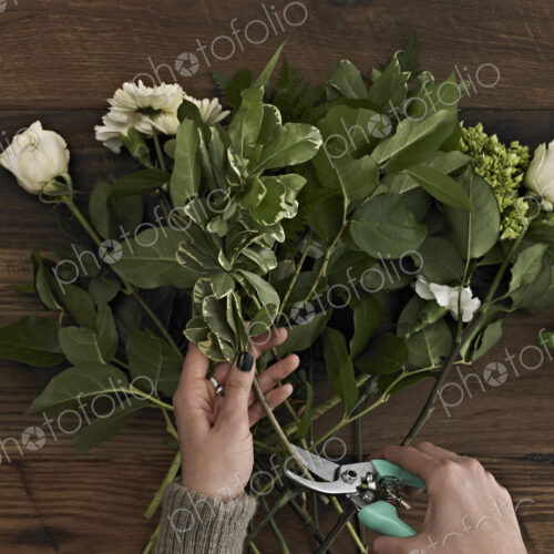 A woman holding secateurs and cutting the base of flower stems for a flower… A woman holding secateurs and cutting the base of flower stems for a flower…