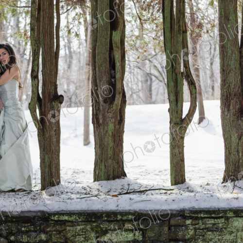 A woman in a ball gown outdoors in the snow.
