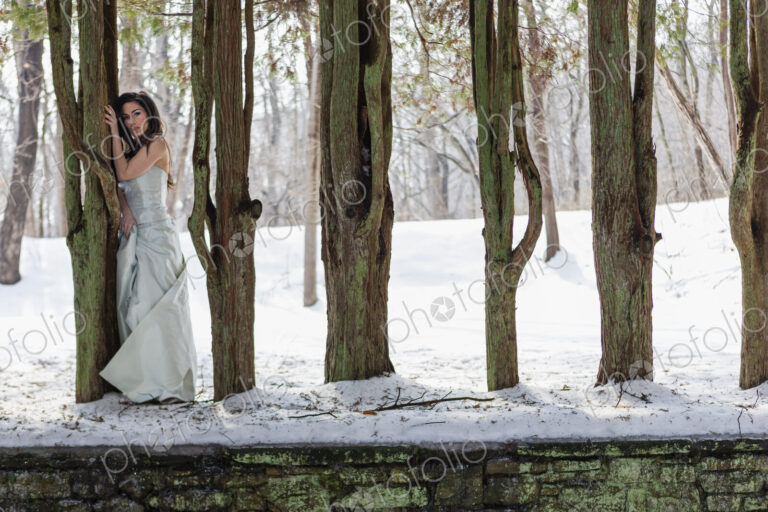 A woman in a ball gown outdoors in the snow.