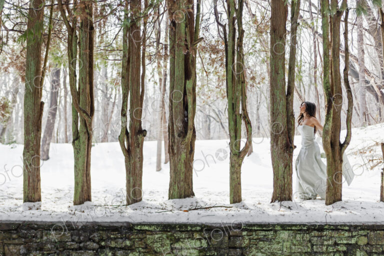 A woman in a ball gown outdoors in the snow.