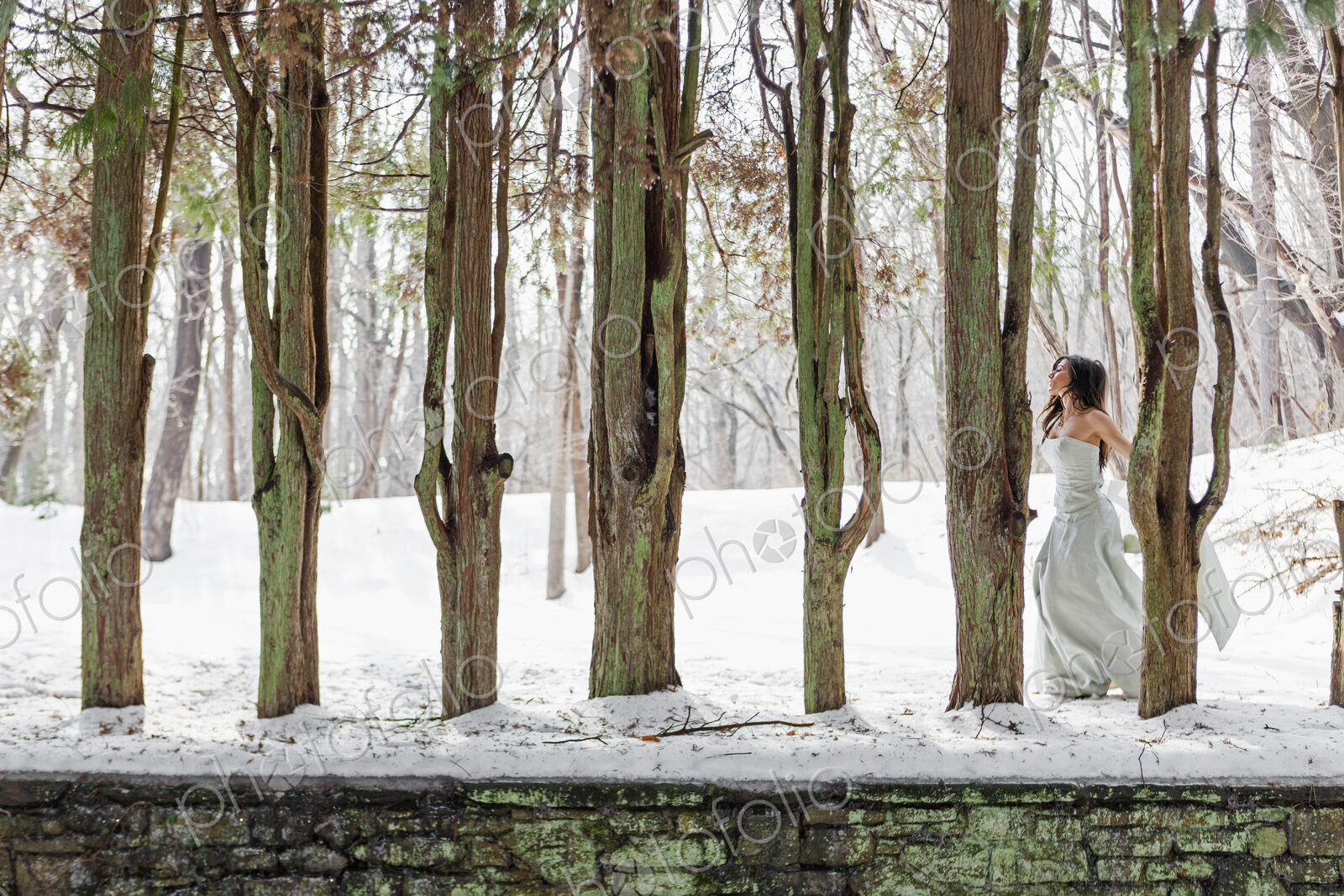 A woman in a ball gown outdoors in the snow.