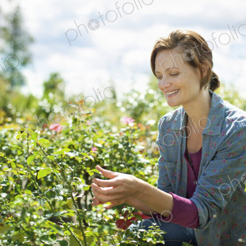 A woman in a blue shirt working at an organic farm, in the glasshouse or greenhouse. A woman in a blue shirt working at an organic farm, in the glasshouse or greenhouse.