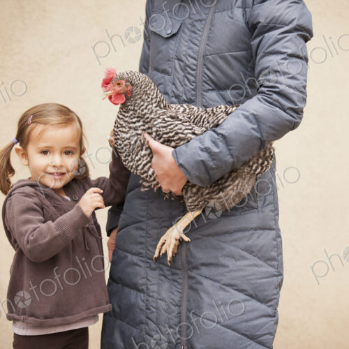 A woman in a grey coat holding a black and white chicken with a red coxcomb under one… A woman in a grey coat holding a black and white chicken with a red coxcomb under one…