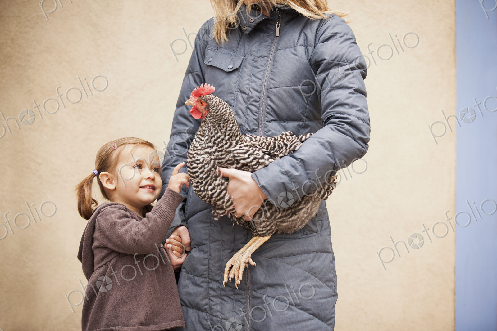 A woman in a grey coat holding a black and white chicken with a red coxcomb under one…