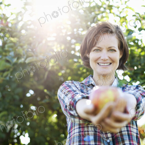 A woman in a plaid shirt holding a freshly picked apple in her two hands, in the… A woman in a plaid shirt holding a freshly picked apple in her two hands, in the…