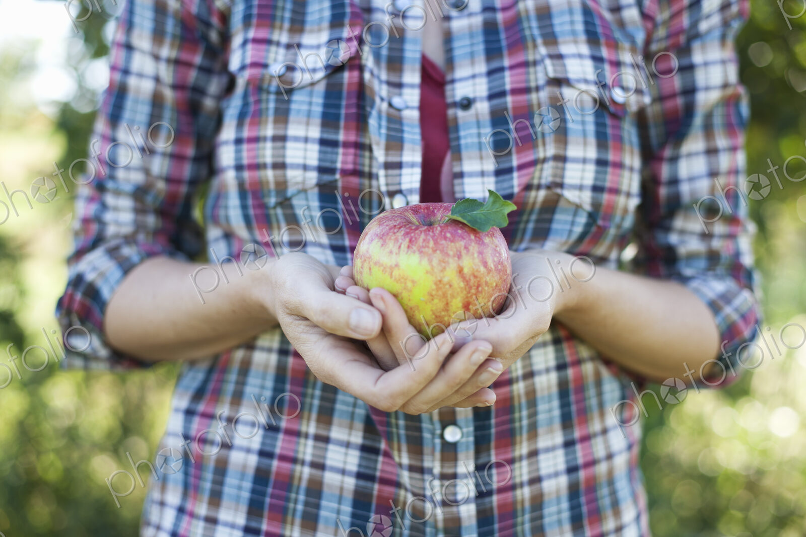 A woman in a plaid shirt holding a large apple in her cupped hands at an organic fruit…