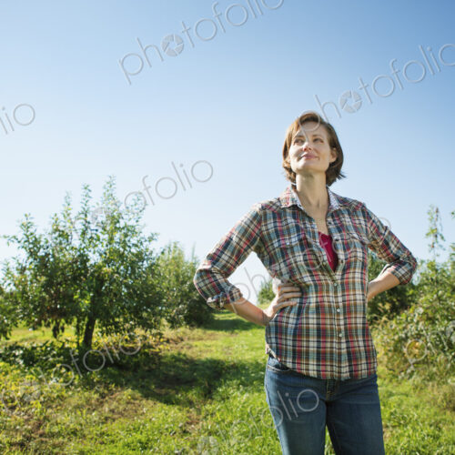 A woman in a plaid shirt picking apples in the orchard at an organic fruit farm.