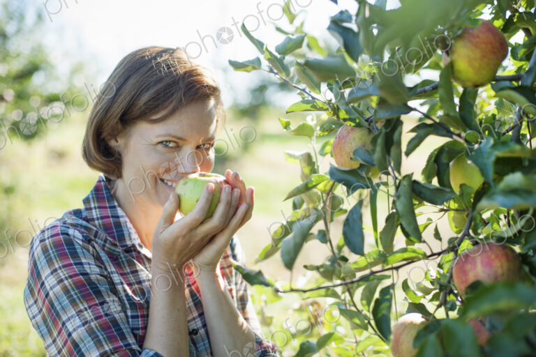 A woman in a plaid shirt smelling the freshly picked ripe apple in her hand at an…