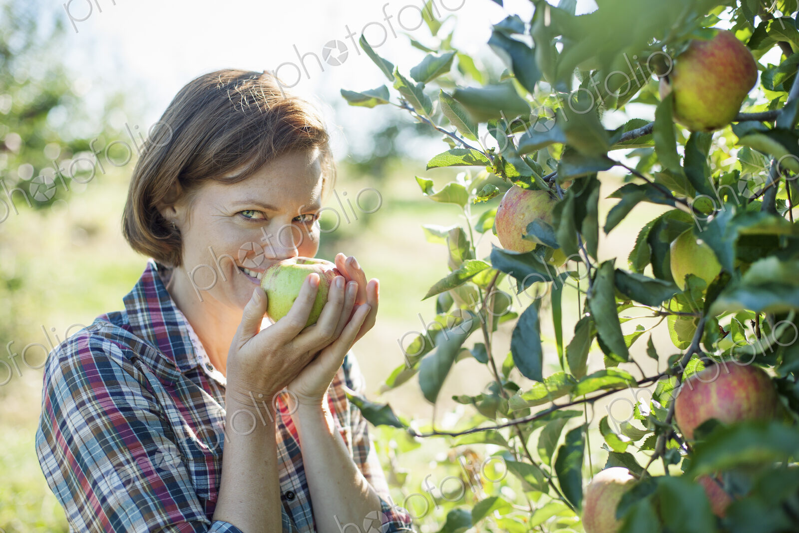 A woman in a plaid shirt smelling the freshly picked ripe apple in her hand at an…
