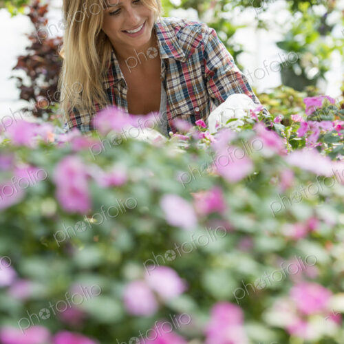A woman in a plant nursery surrounded by flowering plants and green foliage. A woman in a plant nursery surrounded by flowering plants and green foliage.