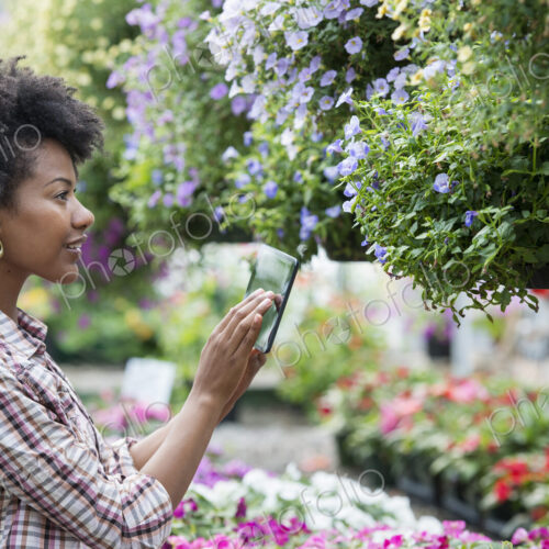 A woman in a plant nursery surrounded by flowering plants and green foliage. A woman in a plant nursery surrounded by flowering plants and green foliage.