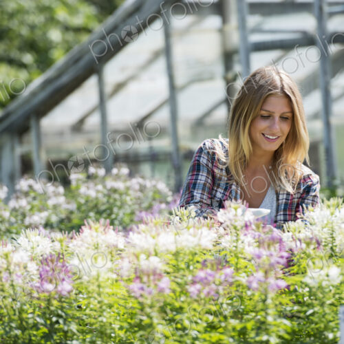 A woman in a plant nursery surrounded by flowering plants and green foliage. A woman in a plant nursery surrounded by flowering plants and green foliage.
