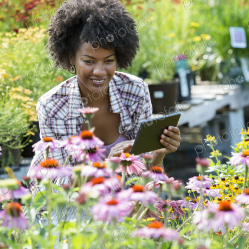 A woman in a plant nursery surrounded by flowering plants and green foliage. A woman in a plant nursery surrounded by flowering plants and green foliage.
