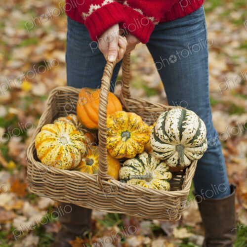 A woman in a red knitted jumper holding a basket of vegetables, gourds and squashes.… A woman in a red knitted jumper holding a basket of vegetables, gourds and squashes.…